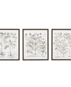 Set of 3 Framed Vintage Style Botanical Prints - The Farthing