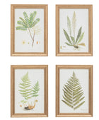 Set of 4 Gold Framed Fern Prints - The Farthing