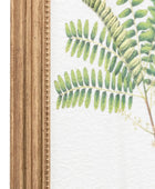 Set of 4 Gold Framed Fern Prints - The Farthing