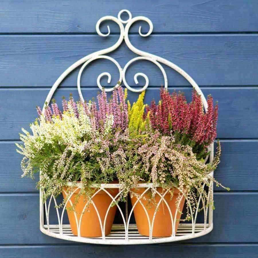 Set of Two Cream Metal Frame Wall Shelf Planter Baskets - The Farthing