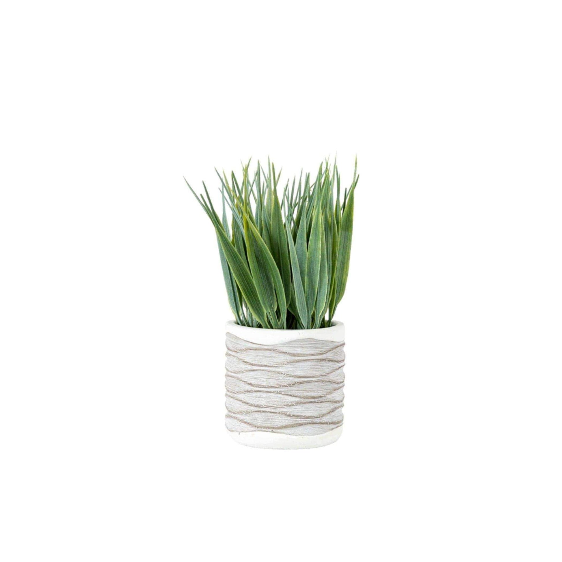 Two Small Faux Potted Grass in Rustic Pot - The Farthing