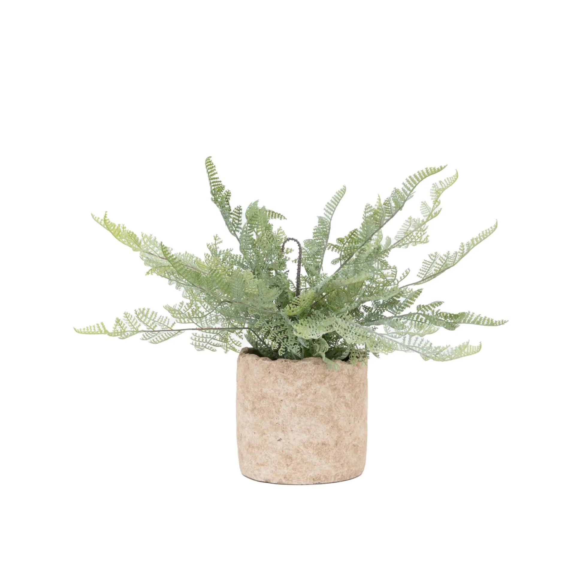 Small Potted Faux Green Fern - The Farthing