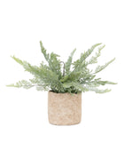 Small Potted Faux Green Fern - The Farthing