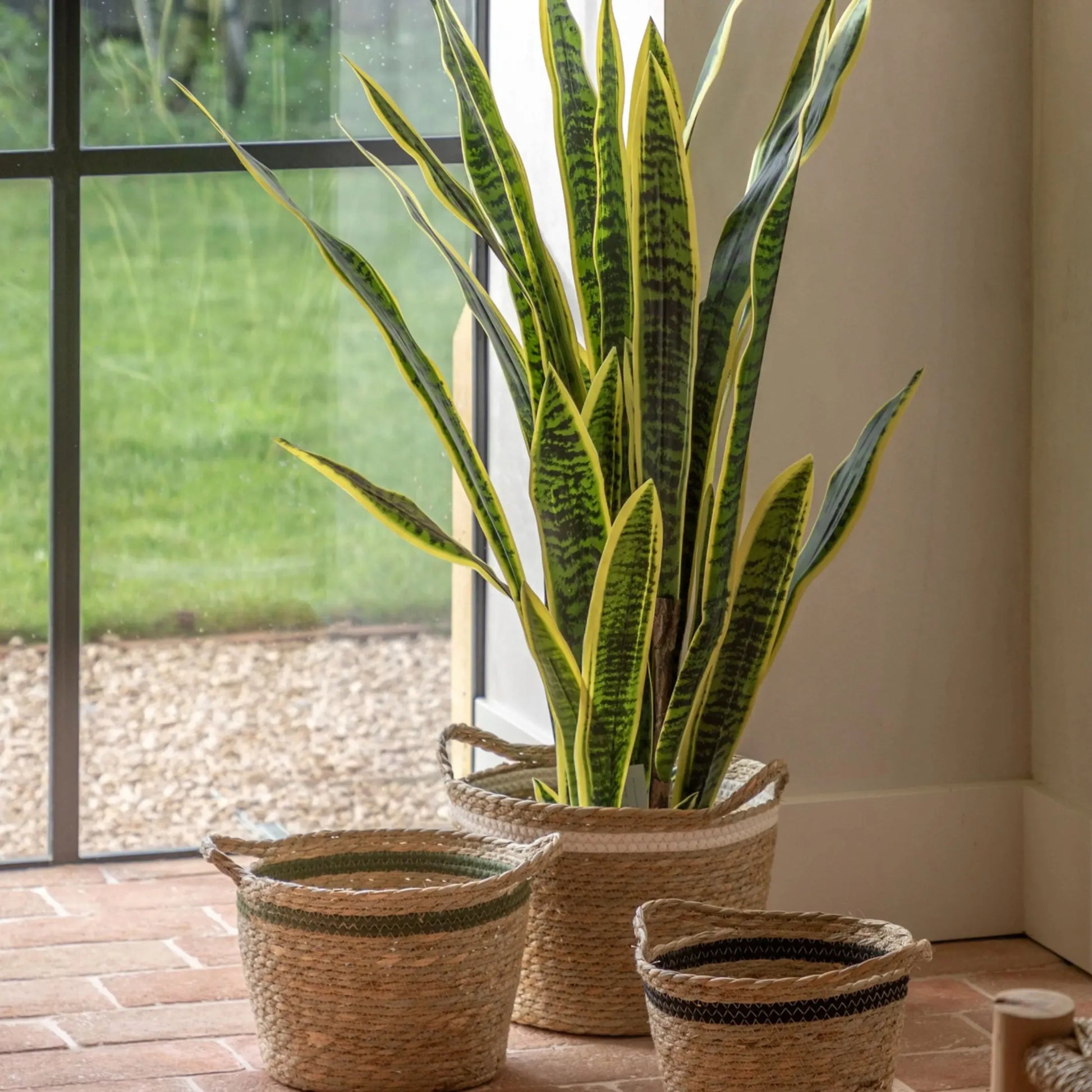 Tall Artificial Sansevieria Plant - The Farthing