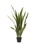 Tall Artificial Sansevieria Plant - The Farthing