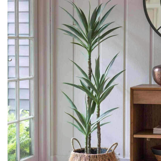 Tall Faux Green Yucca Plant - The Farthing