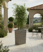 Outdoor patio with wicker plant stand and potted plants