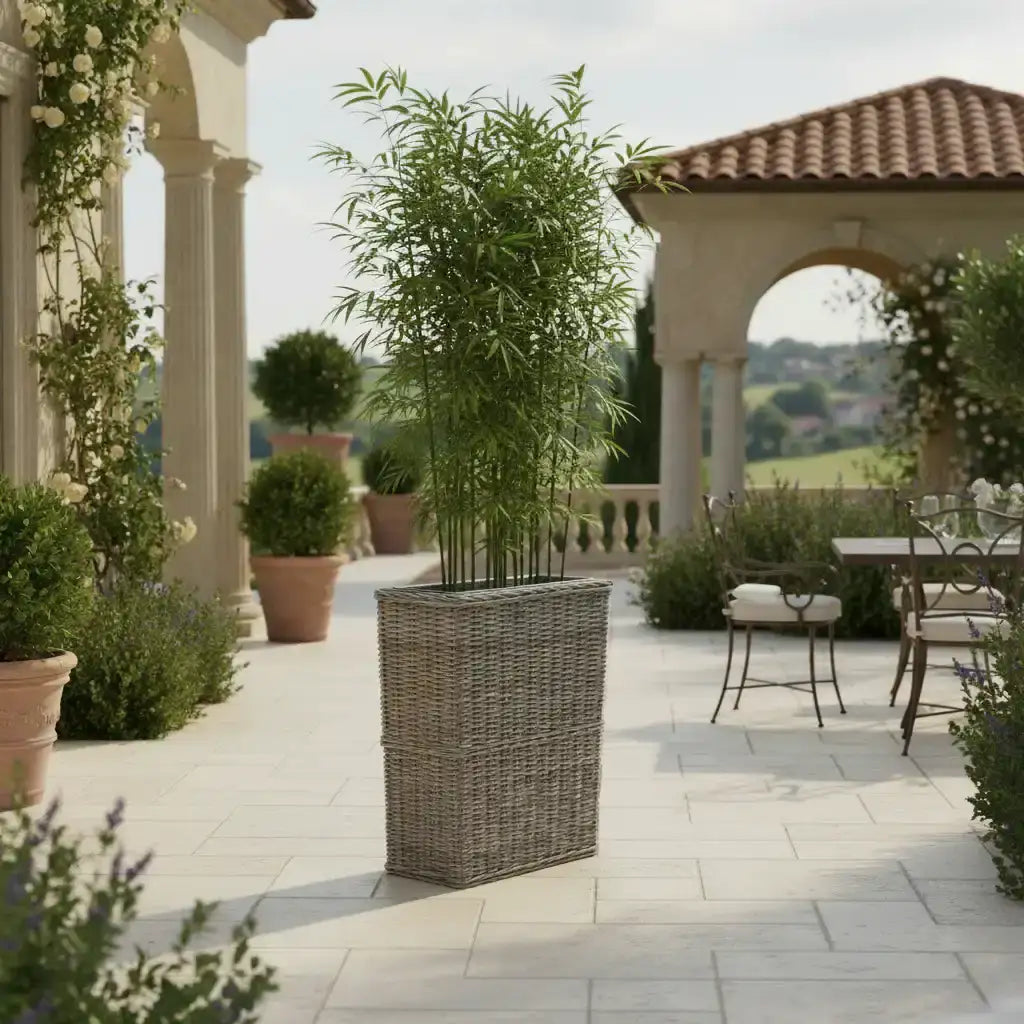 Outdoor patio with wicker plant stand and potted plants
