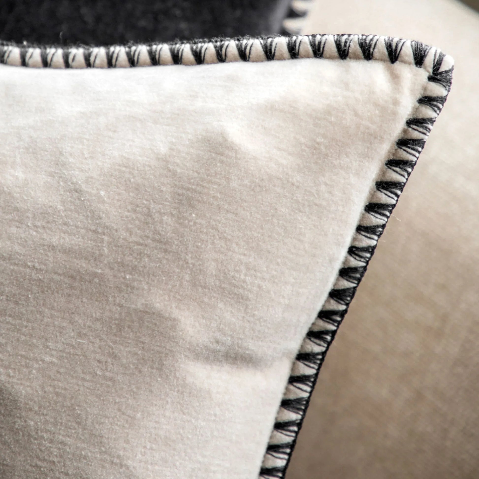 Taupe Velvet Cushion with Black Edge - The Farthing