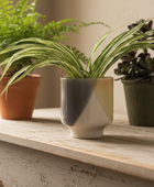 A ceramic planter with a modern geometric design in gray, cream, and yellow-green, holding a variegated spider plant, styled on a rustic wooden shelf with other potted plants in the background.