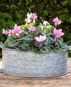 Vintage Inspired Bathtub Planters Set of 3 - The Farthing
