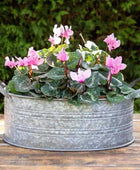 Vintage Inspired Bathtub Planters Set of 3 - The Farthing