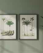 Two framed botanical prints of palm trees on a green wall.