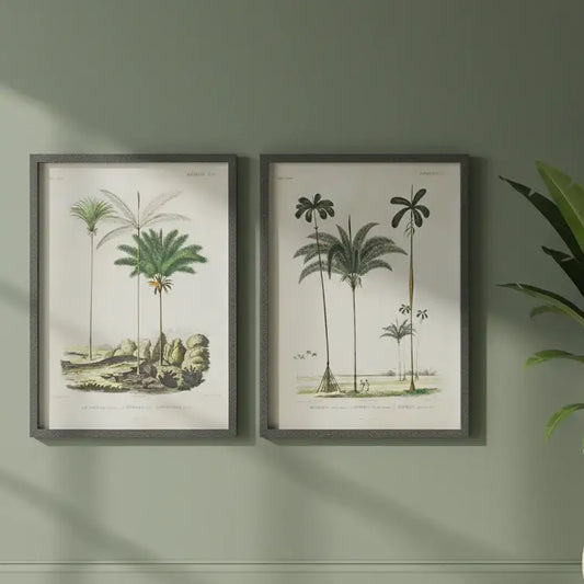 Two framed botanical prints of palm trees on a green wall.