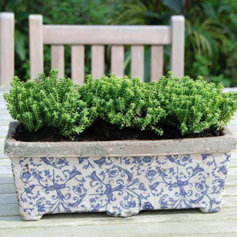 Aged Ceramic Rectangle Planter - The Farthing