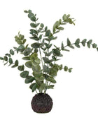 Artificial Eucalyptus Stems in Soil Ball - The Farthing