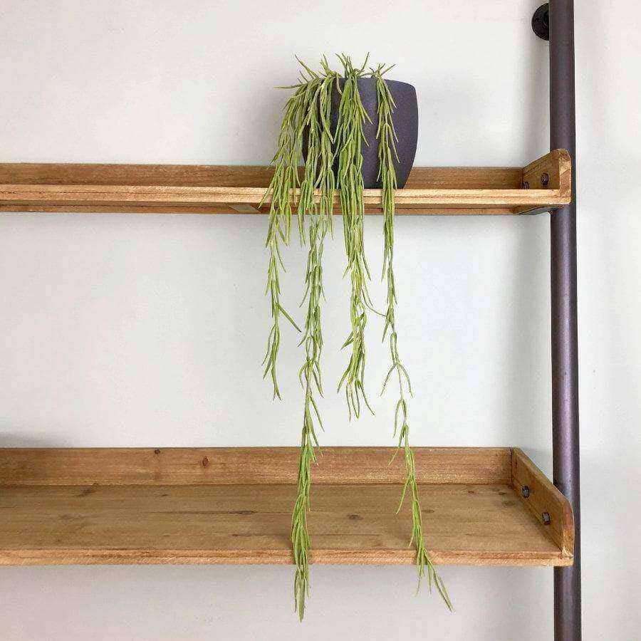 Artificial Hanging Hoya Linearis - The Farthing