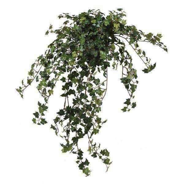 Artificial Large Potted Trailing Lace Ivy - The Farthing