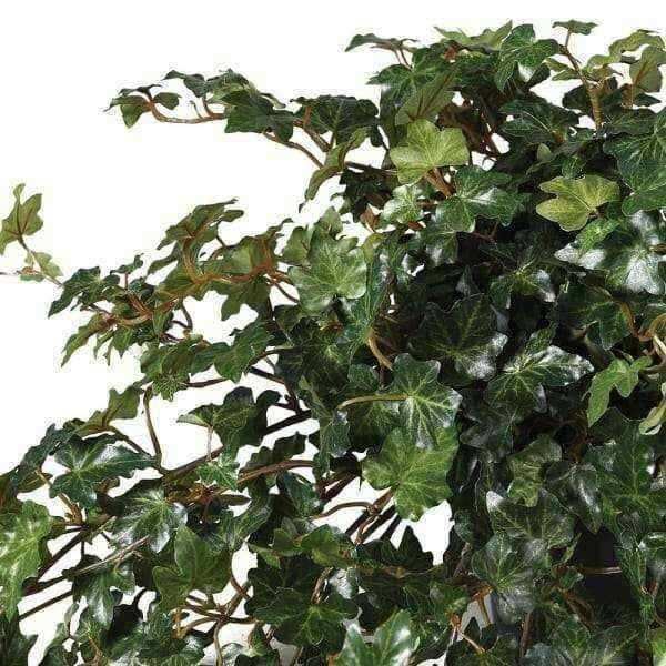Artificial Large Potted Trailing Lace Ivy - The Farthing
