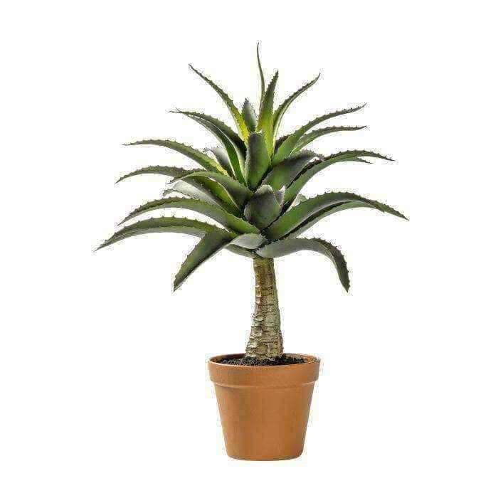 Artificial Potted Agave Plant - The Farthing