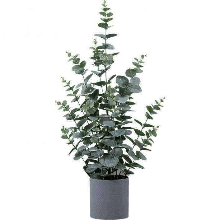 Artificial Potted Eucalyptus Bush - The Farthing