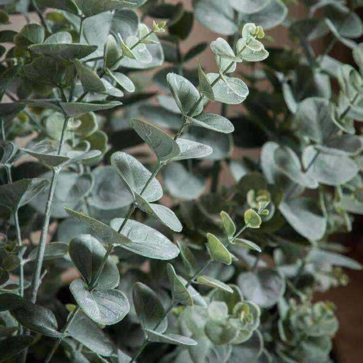 Artificial Potted Eucalyptus Bush - The Farthing