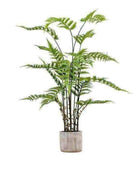 Artificial Potted Fern Plant in Cement Pot - The Farthing