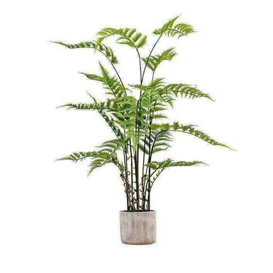 Artificial Potted Fern Plant in Cement Pot - The Farthing