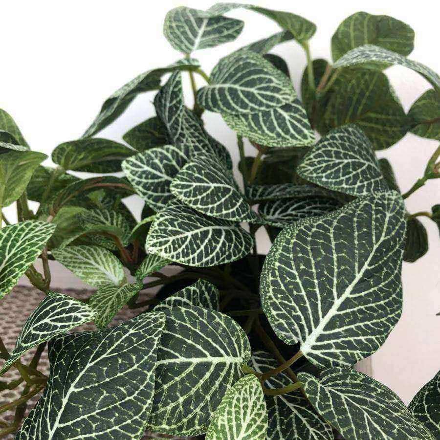 Artificial Potted Green Fittonia Plant - The Farthing