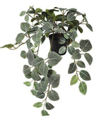 Artificial Potted Green Fittonia Plant - The Farthing