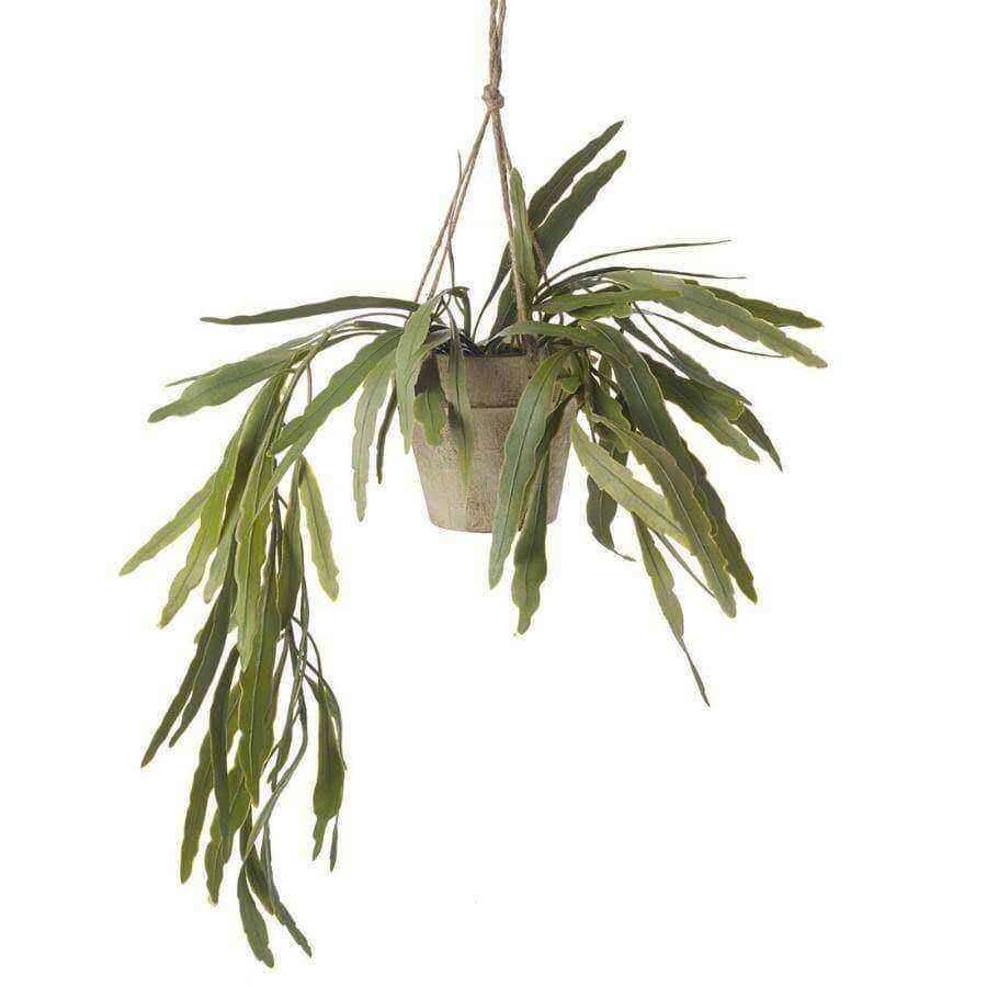Artificial Potted Hanging Rhipsalis - The Farthing