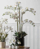 Artificial White Orchid with Black Gold Pot - The Farthing