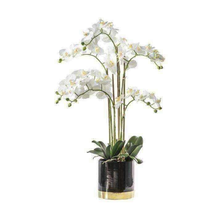 Artificial White Orchid with Black Gold Pot - The Farthing