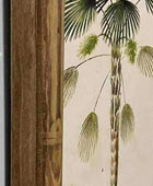 Bamboo Style Vintage Palm Tree Illustrations - set of four - The Farthing