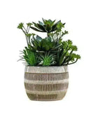 Faux Green Succulents In Ceramic Pot - The Farthing