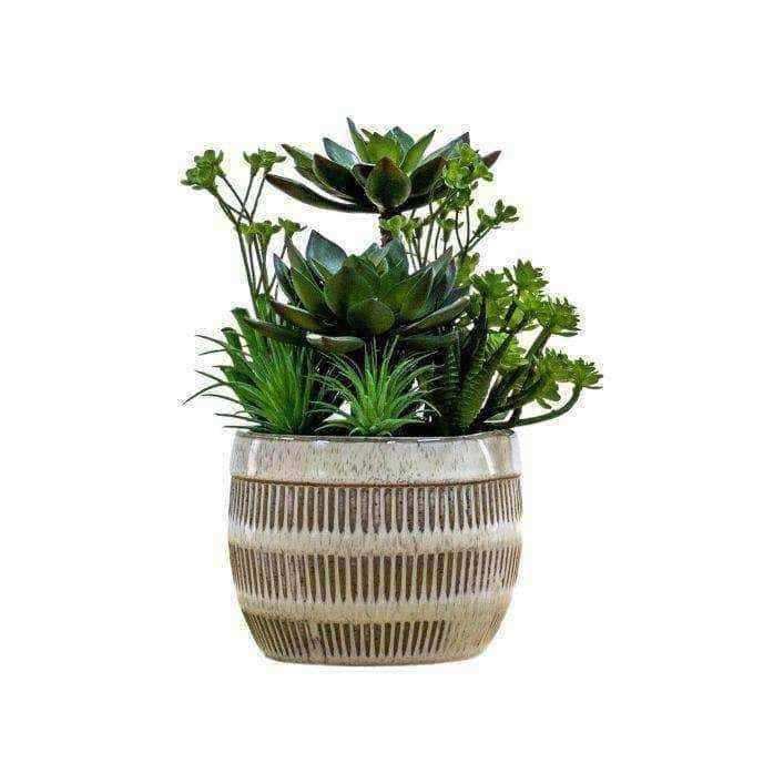 Faux Green Succulents In Ceramic Pot - The Farthing