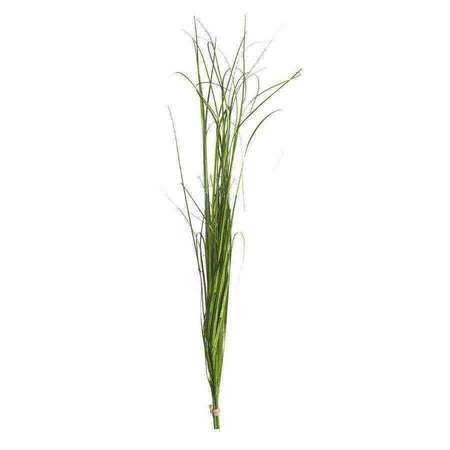 Faux Onion Grass Spray - The Farthing