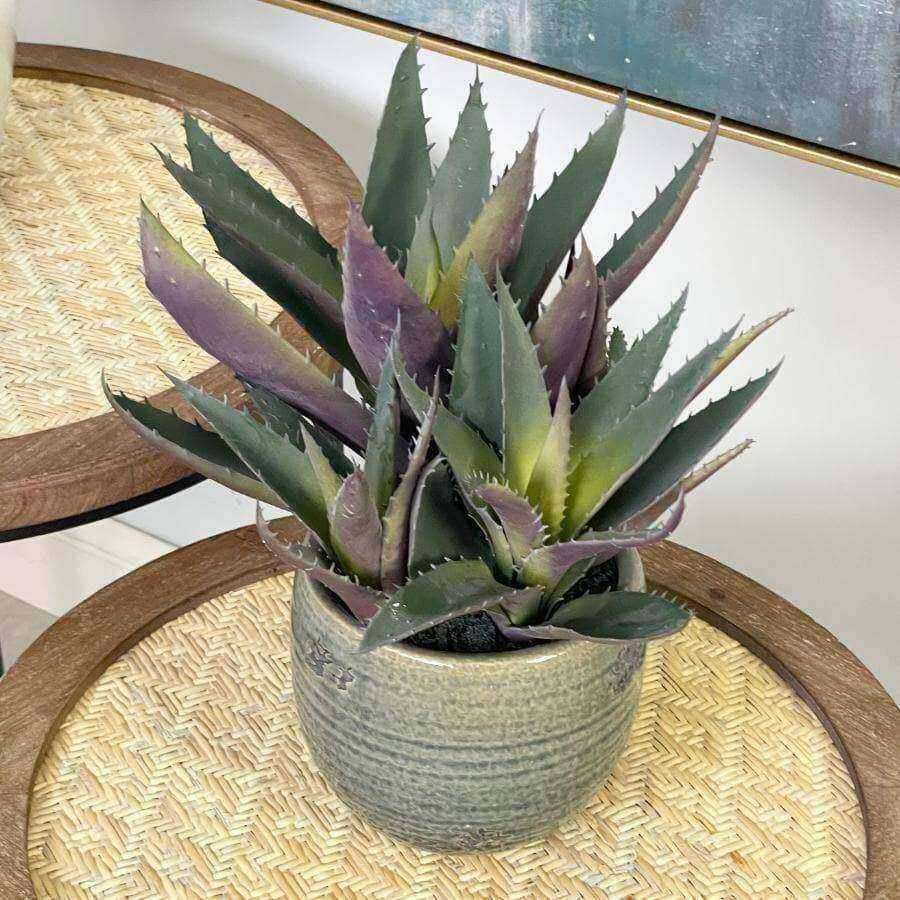 Faux Purple & Green Aloe Vera Plant - The Farthing