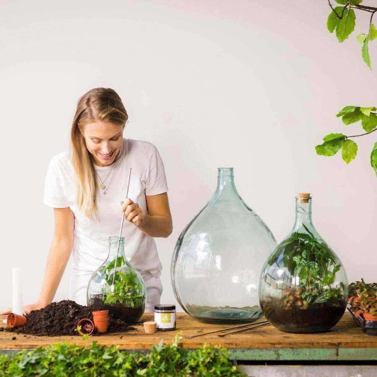 Indoor Glass Bottle 15 Litre Plant Terrarium - Starter Kit - The Farthing