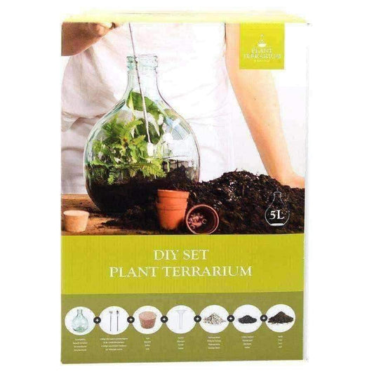 Indoor Glass Bottle 5 Litre Plant Terrarium - DIY Kit - The Farthing