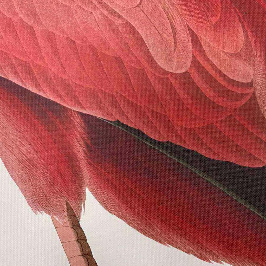 Large Flamingo Wall Canvas - The Farthing
