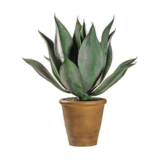 Large Potted Wide Leaf Artificial Aloe Vera - The Farthing