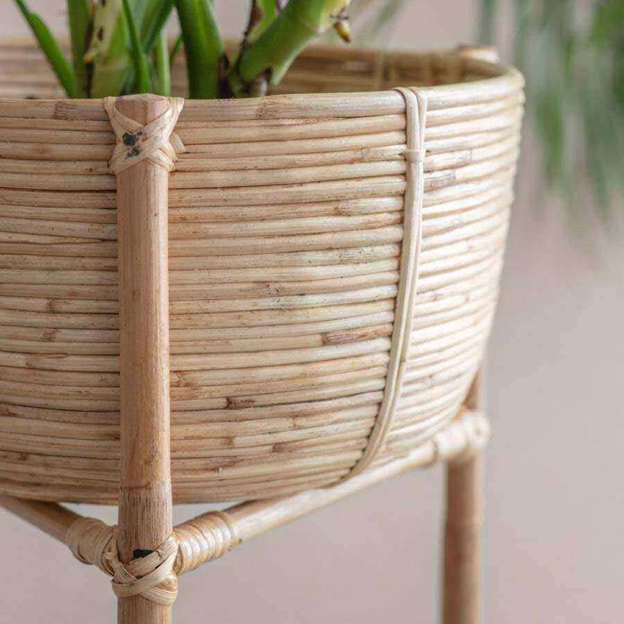 Natural Rattan Plant Stand - The Farthing