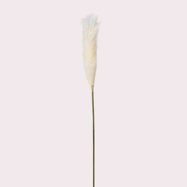 Pampas Grass Reed Stem - Two Stems - The Farthing