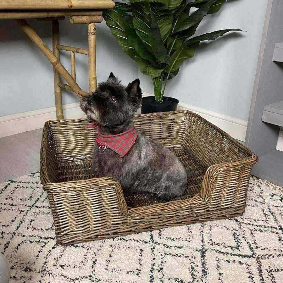 Rustic Willow Dog Bed - Choose size - The Farthing