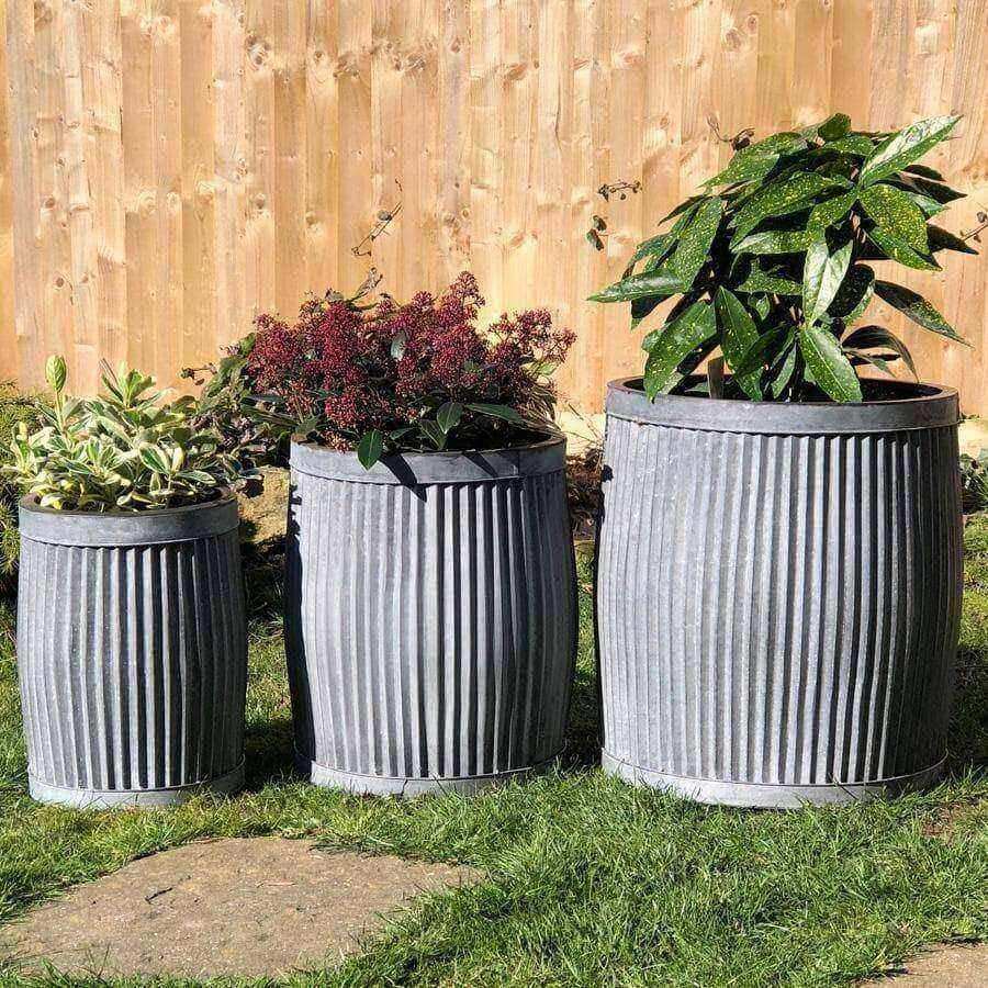 Set of 3 Rustic Distressed Fluted Planter - The Farthing