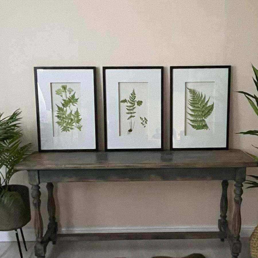 Set of Three Framed Botanical Fern Print Set - The Farthing