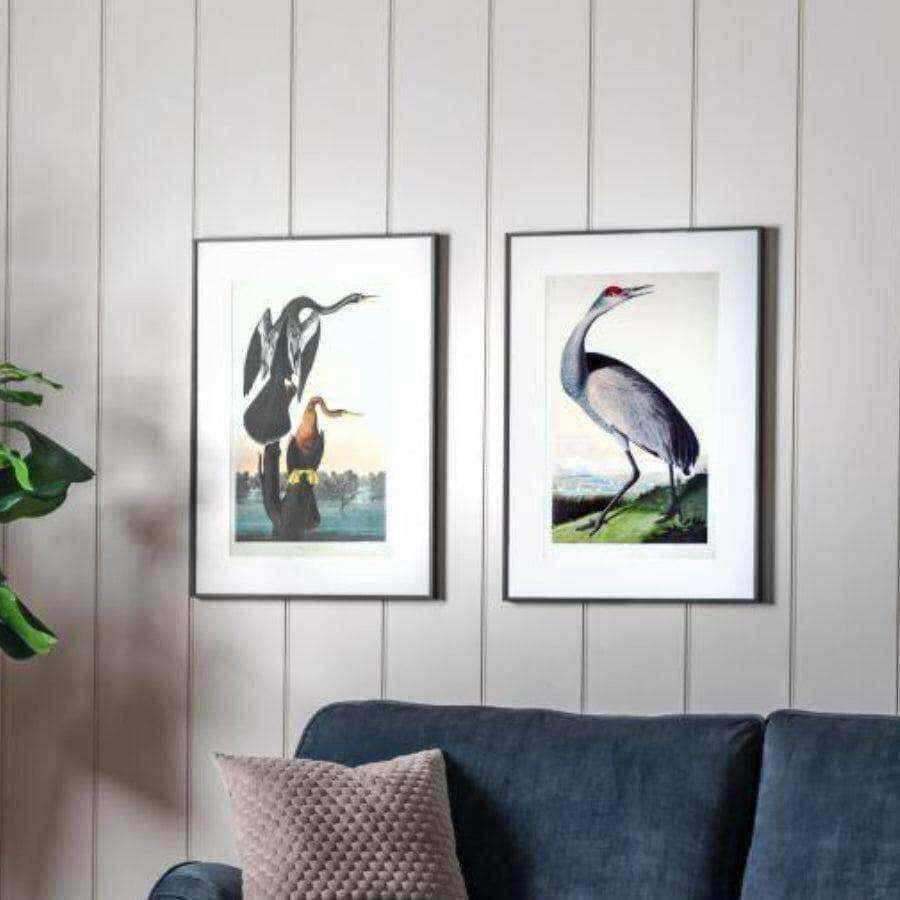 Set of Two Large Bird Pictures In Dark Frames - The Farthing