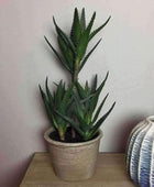 Spiky Tall Faux Aloe Succulent In Grey Pot - The Farthing