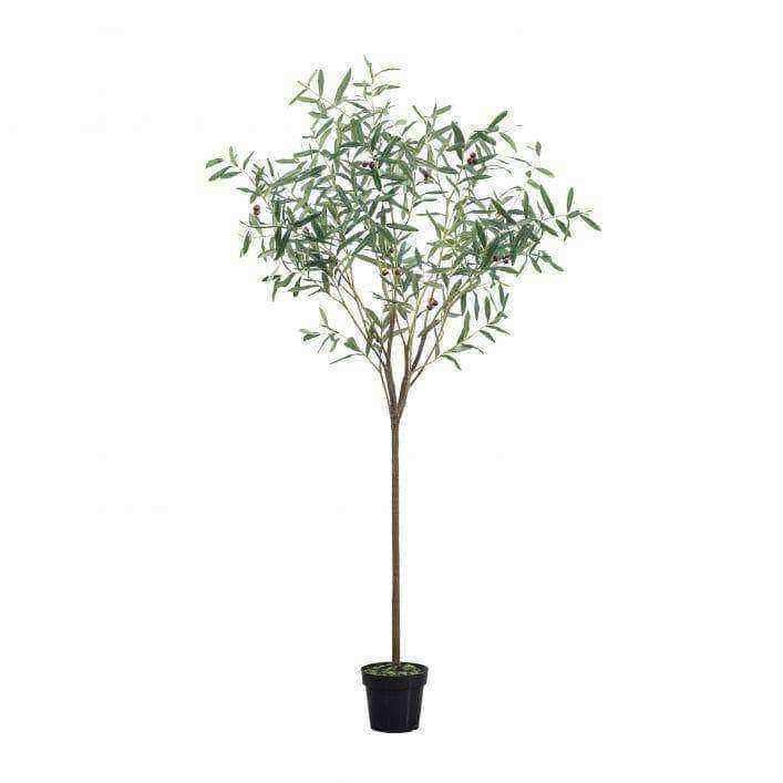 Tall Artificial Potted Olive Tree - The Farthing